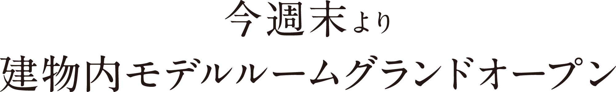 建物内モデルルームオープン