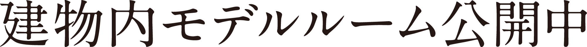 建物内モデルルーム公開中