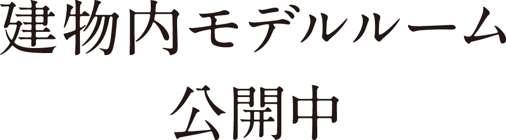 建物内モデルルーム公開中