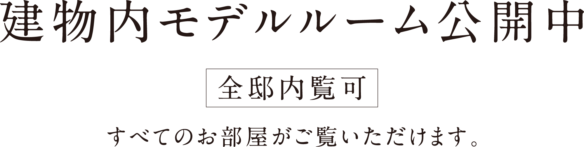 建物内モデルルーム公開中