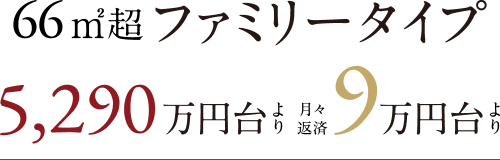 66㎡ファミリータイプ 5,290万円台より 月々返済9万円台より