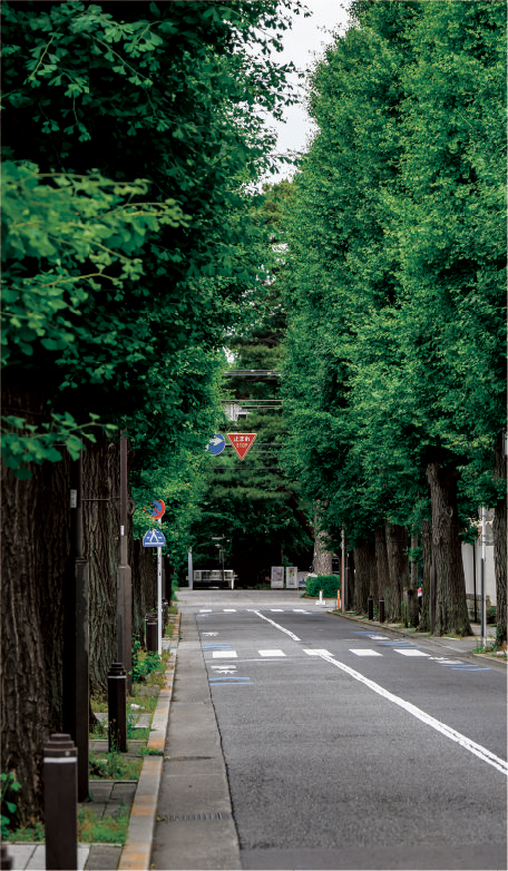 木下の保育園岩戸北