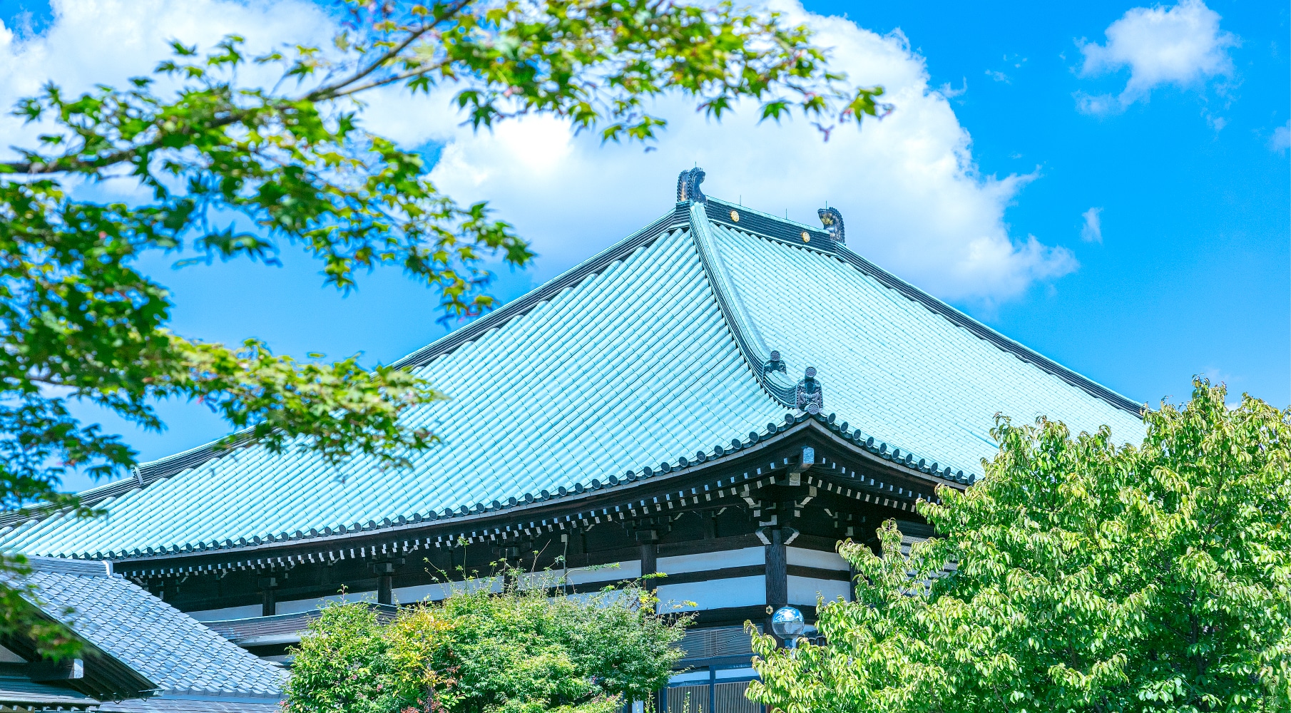 普光明寺（約2290m／徒歩29分）